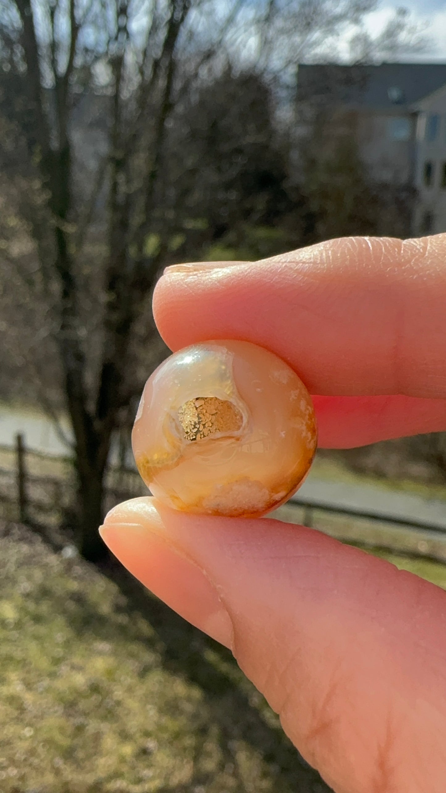 Cherry Sakura Flower Agate Geode small size BOGO [limited time]