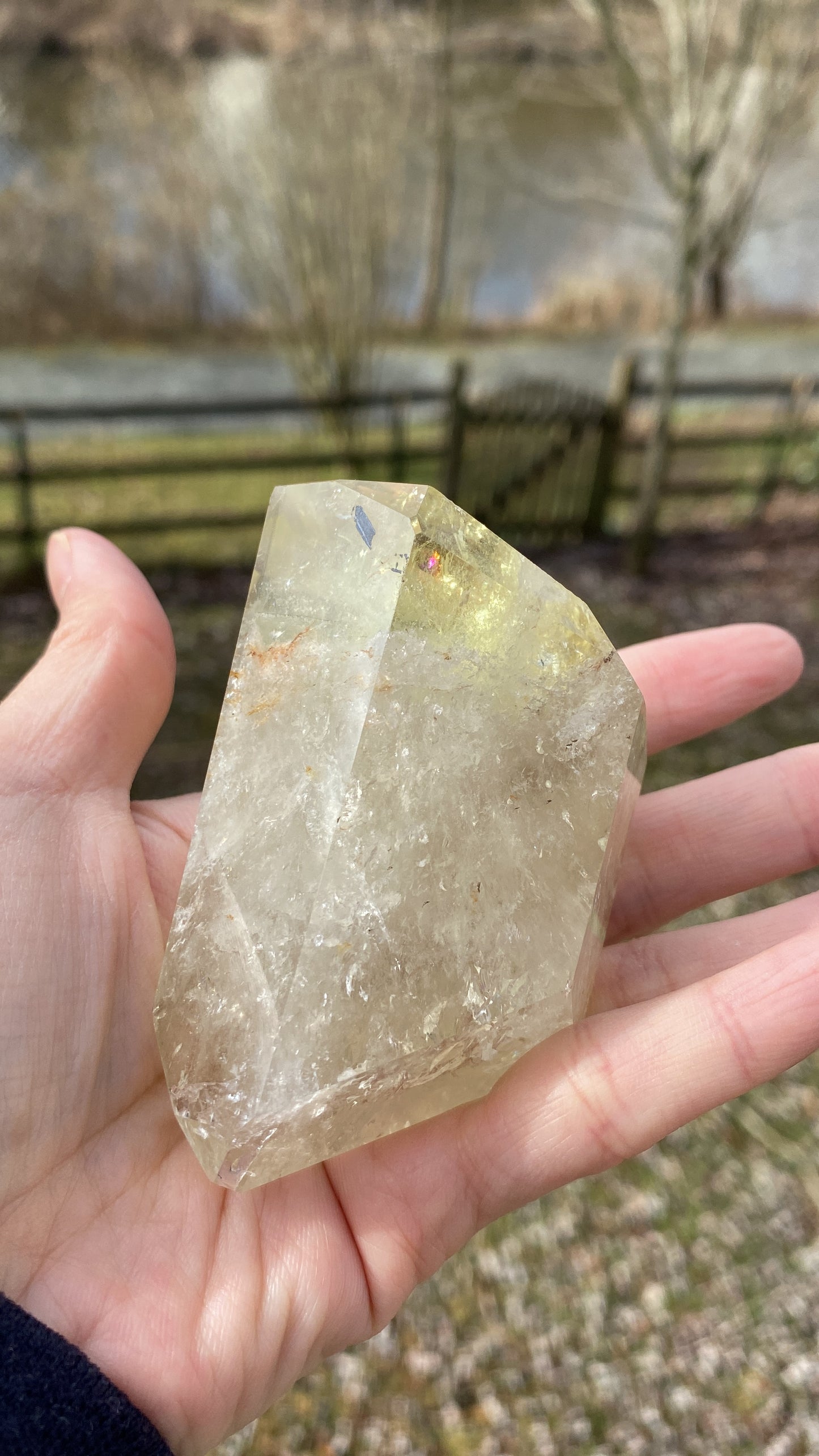 💛Citrine Freeform Crystal